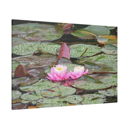 Water Lilies Matte Canvas