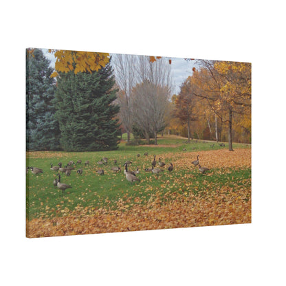 Autumn Geese Matte Canvas