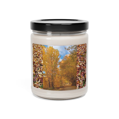 Autumn Trail Scented Soy Candle, 9oz