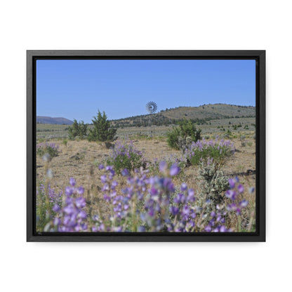 High Desert Lupine & Windmill Gallery Canvas Wraps Framed