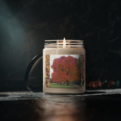 Autumn Tree Mid Fall Scented Soy Candle, 9oz