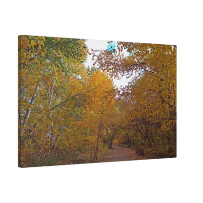Autumn Lane Matte Canvas