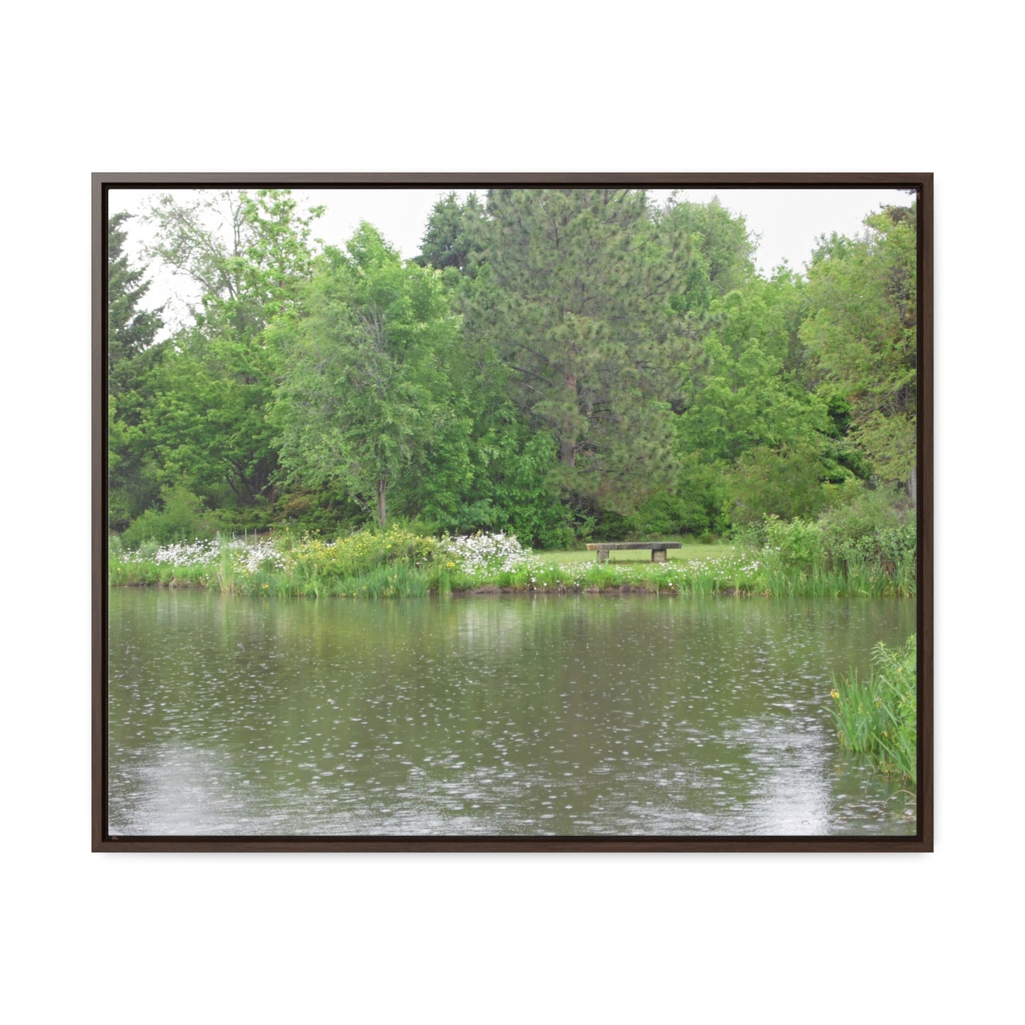 Raindrops On The Water Gallery Canvas Wraps Framed
