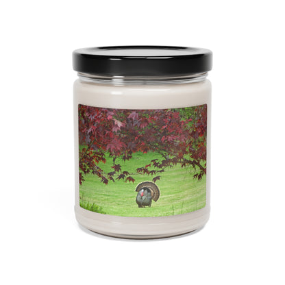 Autumn Turkey Scented Soy Candle, 9oz