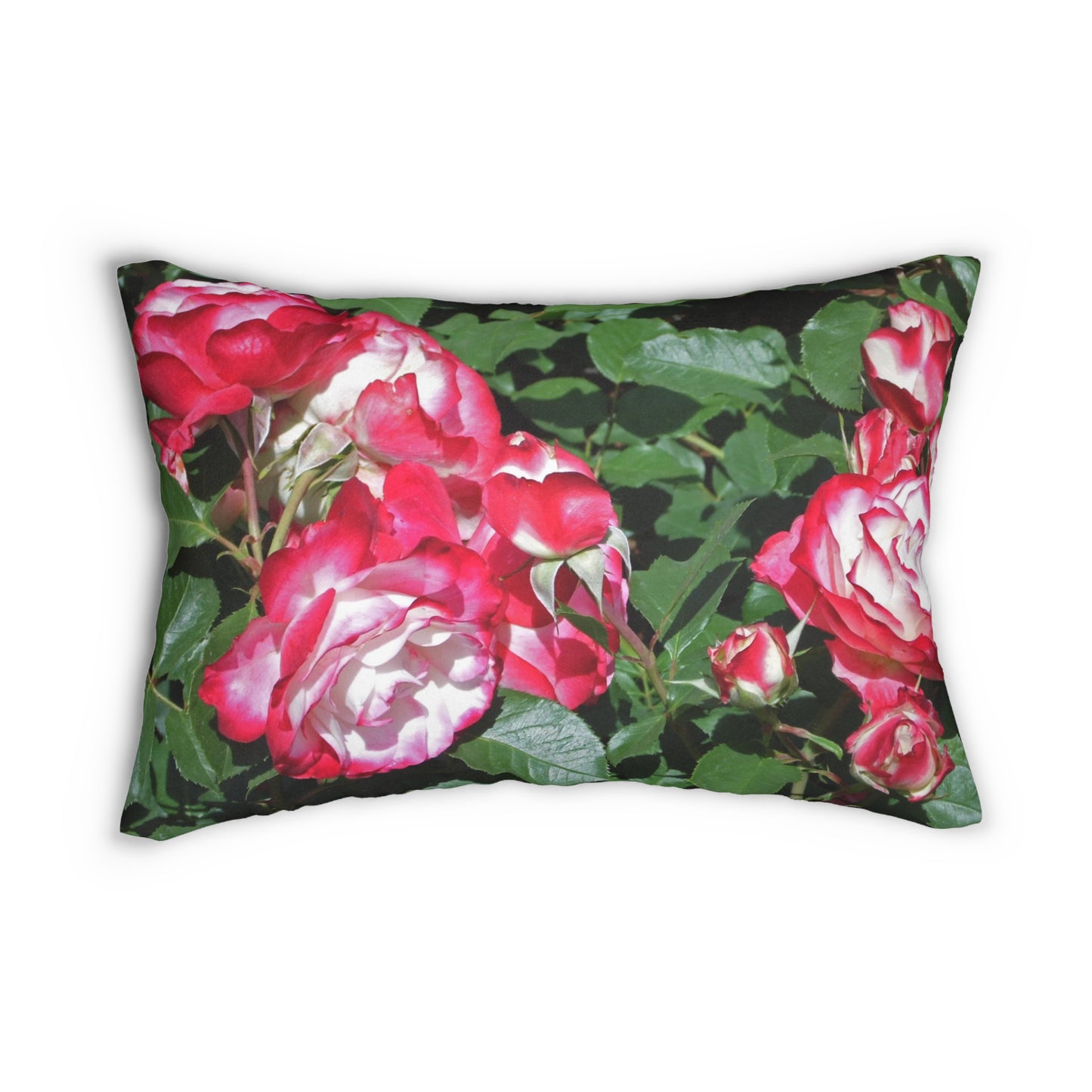 Romantic Roses Spun Polyester Lumbar Pillow