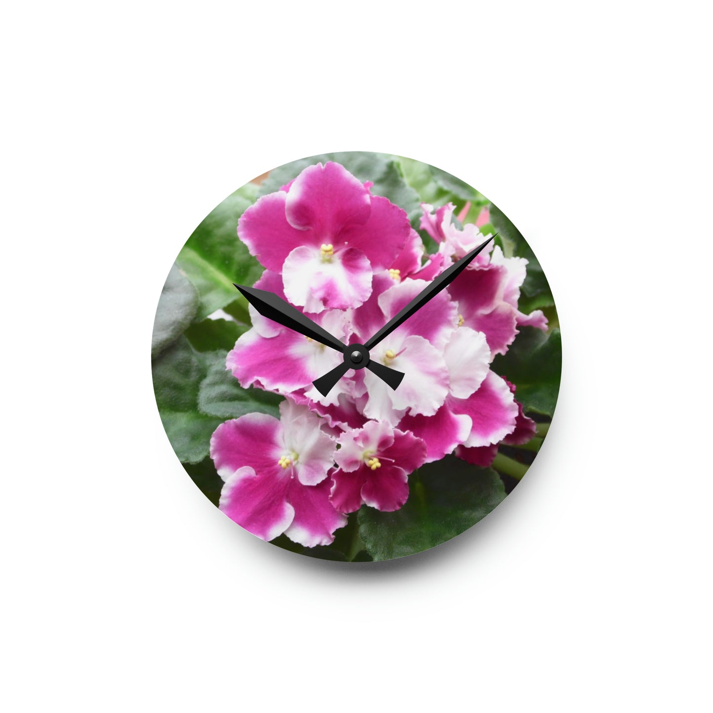 African Violet Acrylic Wall Clock
