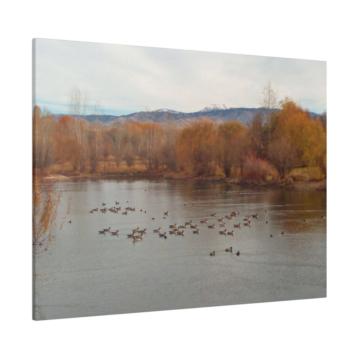 Autumn Pond with Geese Matte Canvas