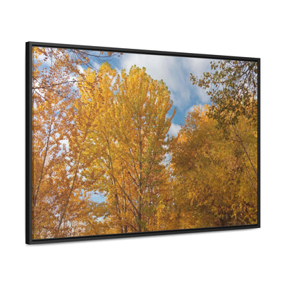 Autumn Gold Gallery Canvas Wraps Framed