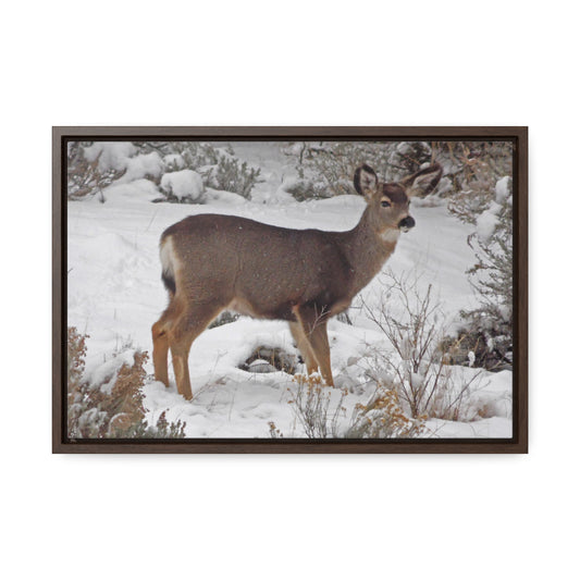 Snowy Deer Gallery Canvas Wraps Framed