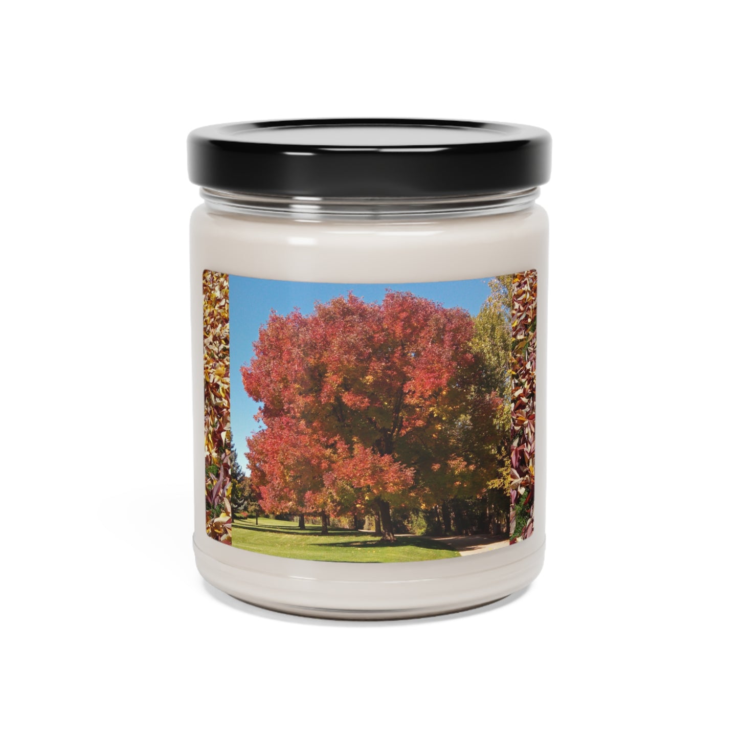 Autumn Tree Early Fall Scented Soy Candle, 9oz
