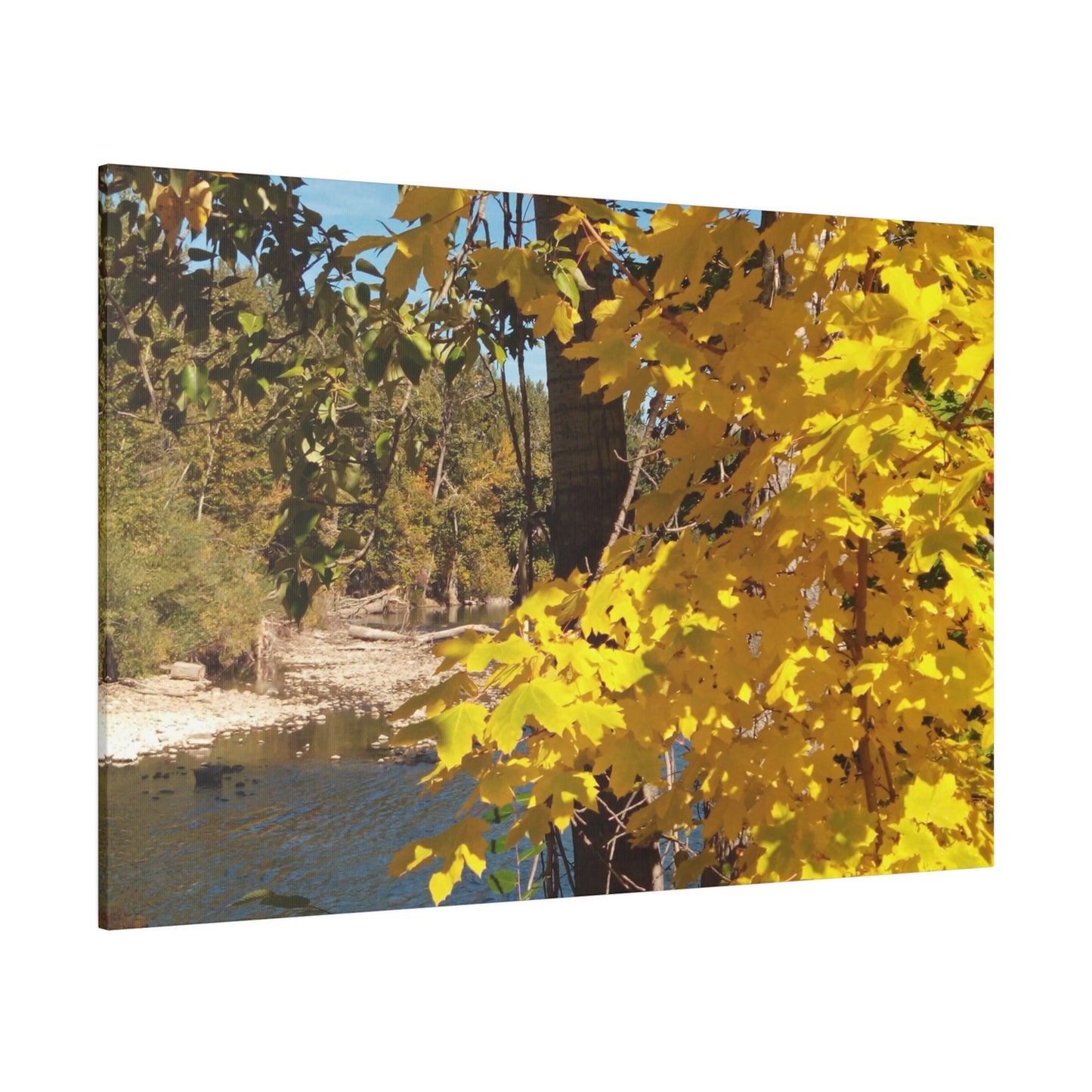 Autumn River Matte Canvas