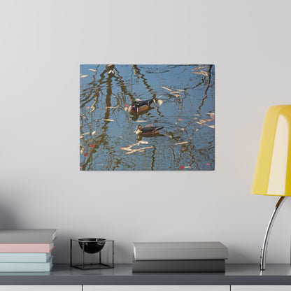 Wood Duck Couple Matte Canvas