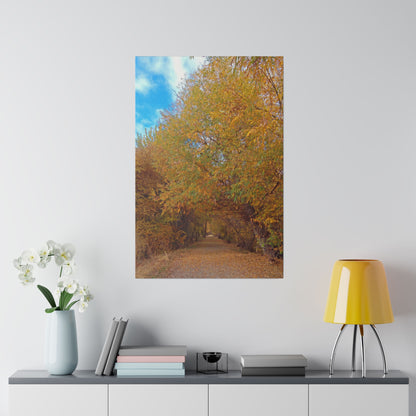 Autumn Path Matte Canvas