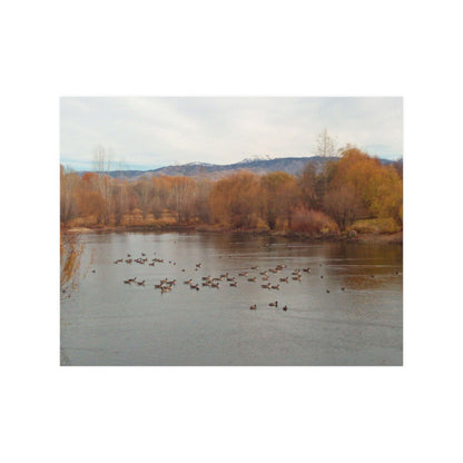 Autumn Pond with Geese Satin Posters