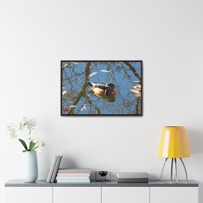 Reflections Wood Duck Gallery Canvas Wraps Framed