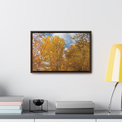 Autumn Gold Gallery Canvas Wraps Framed