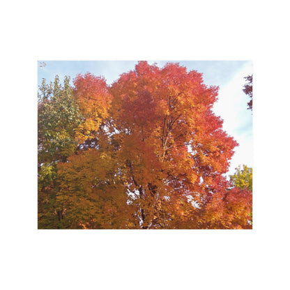 Autumn Radiance Satin Posters
