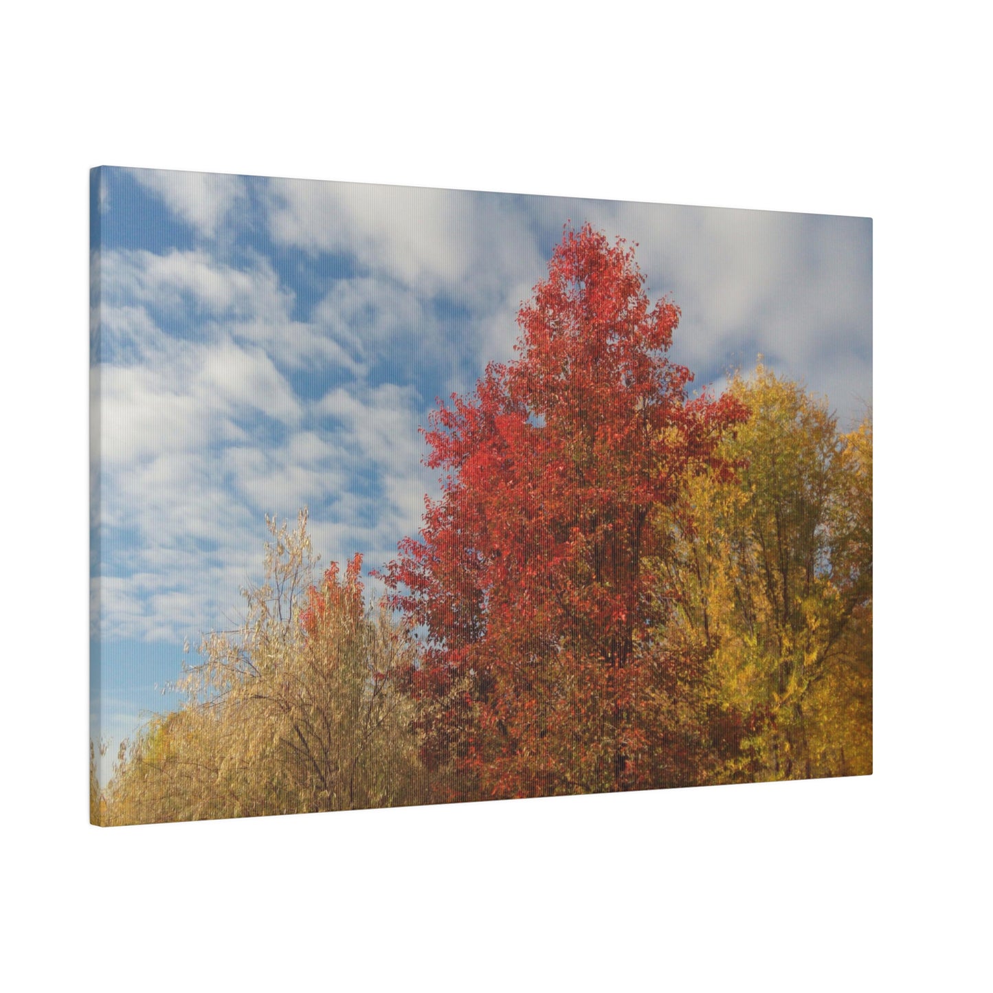 Autumn Sky Matte Canvas