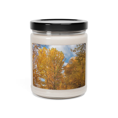 Autumn Gold Scented Soy Candle, 9oz