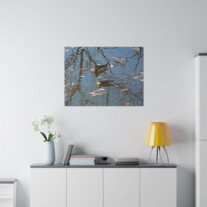 Wood Duck Couple Matte Canvas