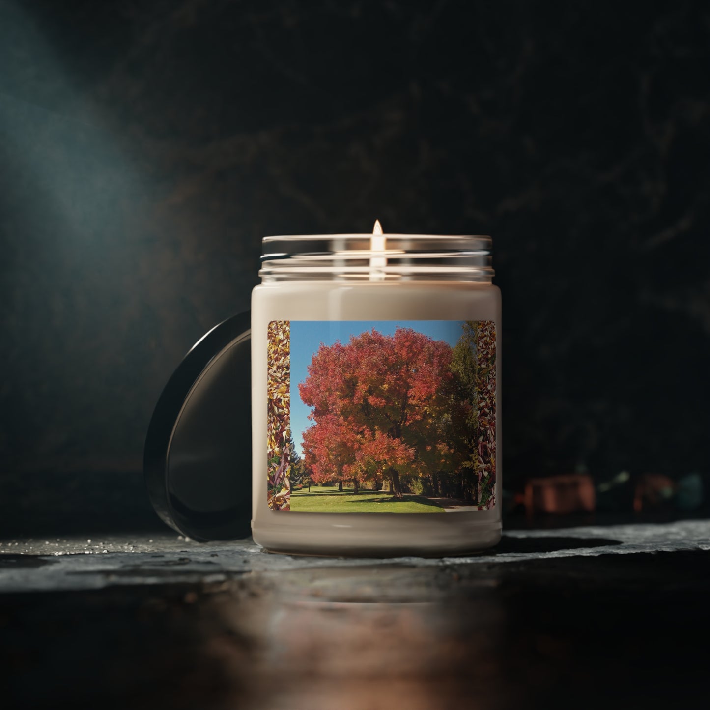 Autumn Tree Early Fall Scented Soy Candle, 9oz