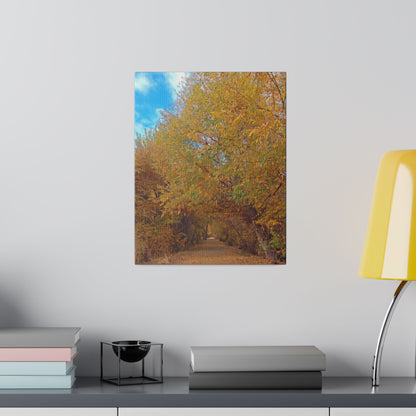 Autumn Path Matte Canvas