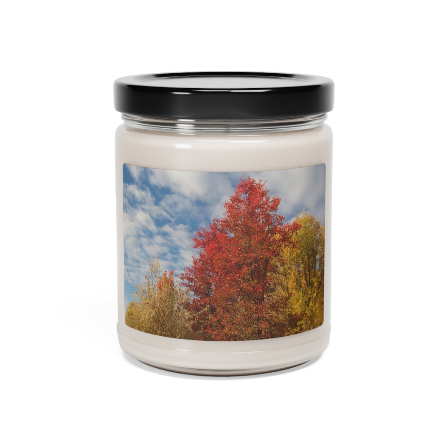 Autumn Sky Scented Soy Candle, 9oz