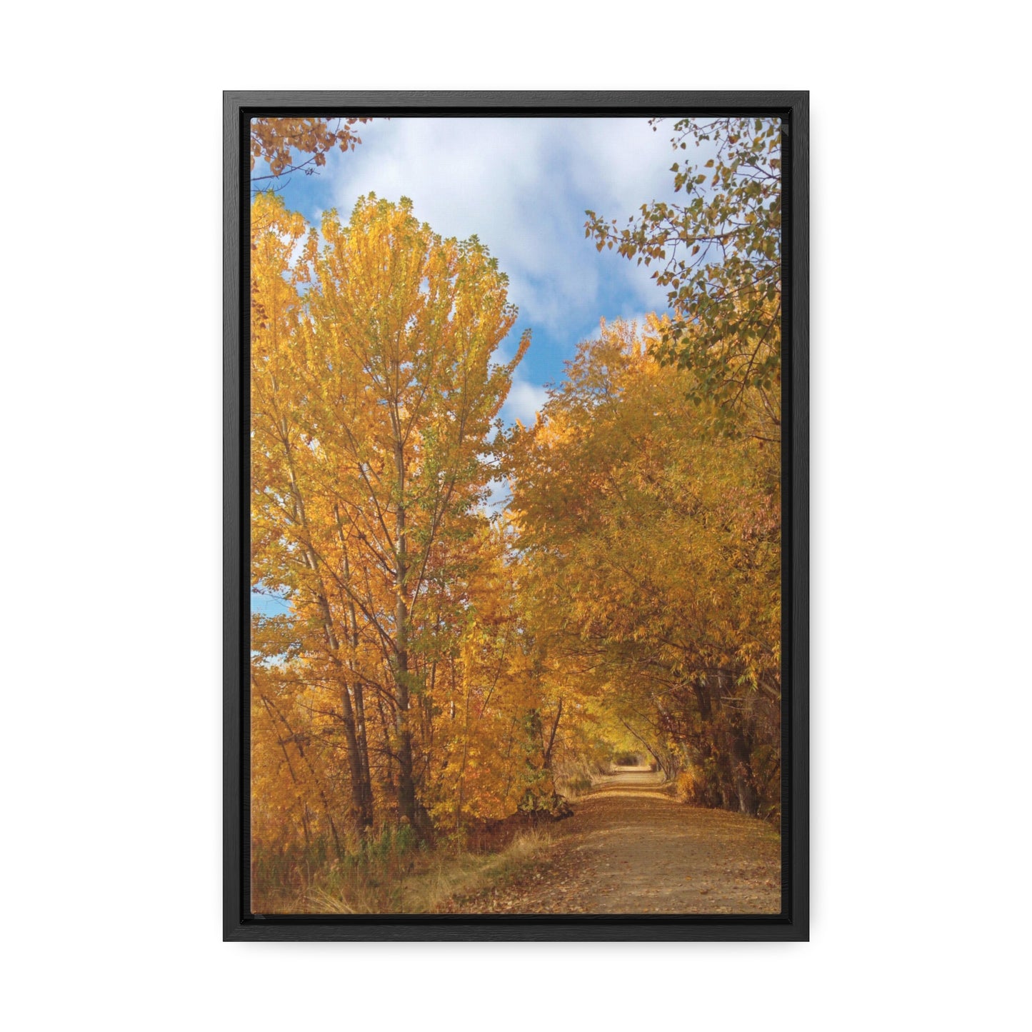 Autumn Trail Gallery Canvas Wraps Framed