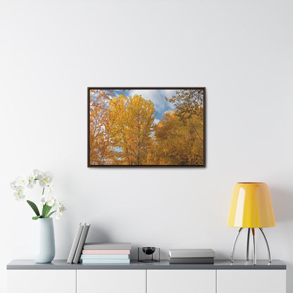 Autumn Gold Gallery Canvas Wraps Framed