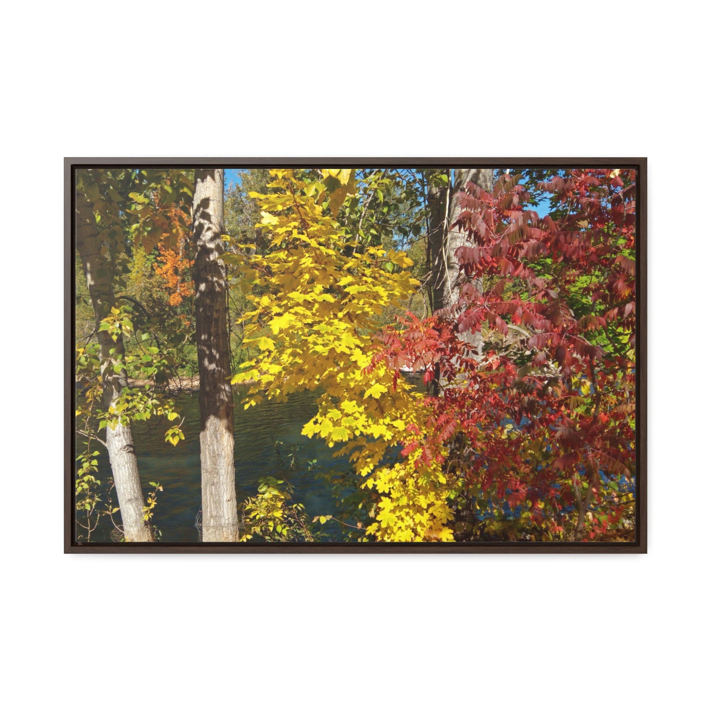 River & Autumn Leaves Gallery Canvas Wraps Framed