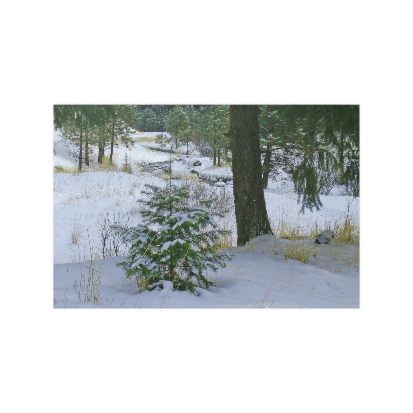 Christmas Tree Creek Satin Posters