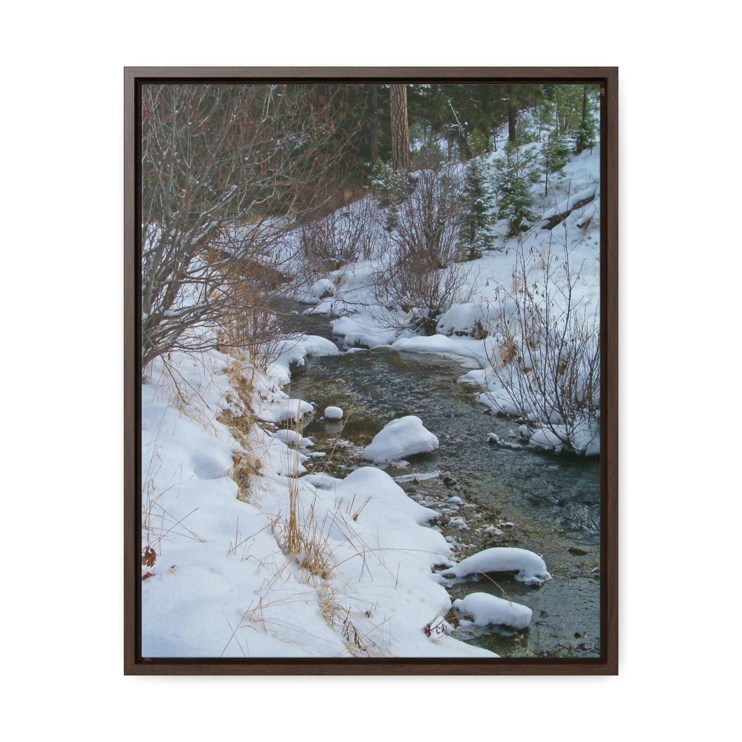 Snowy Creek Gallery Canvas Wraps Framed