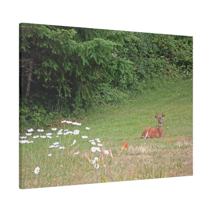 Peace In The Meadow Matte Canvas