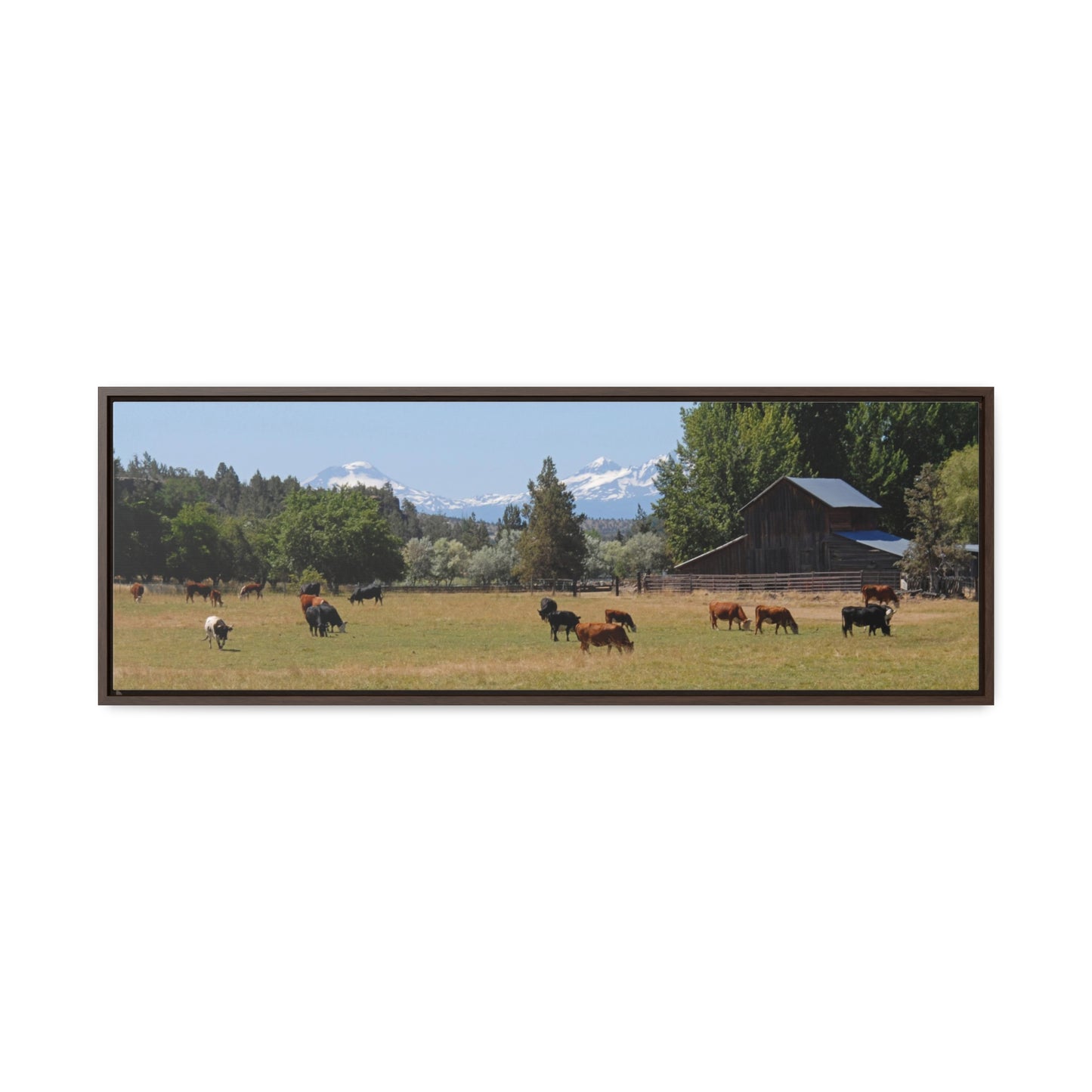 Picturesque Cattle Gallery Canvas Wrap Panoramic Framed