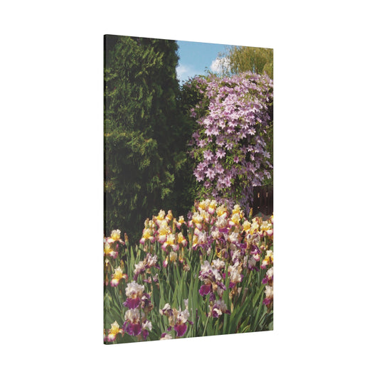 Sunny Iris Garden Matte Canvas
