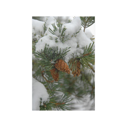Snowy Fir Cones Satin Posters