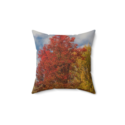 Autumn Sky Sherpa Spun Polyester Square Pillow