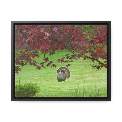 Autumn Turkey Gallery Canvas Wraps Framed