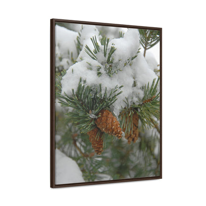 Snowy Fir Cones Gallery Canvas Wraps Framed