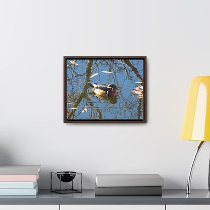 Reflections Wood Duck Gallery Canvas Wraps Framed