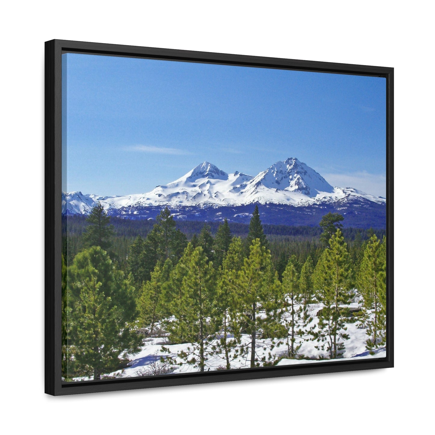 Winter Two Sisters Gallery Canvas Wraps Framed