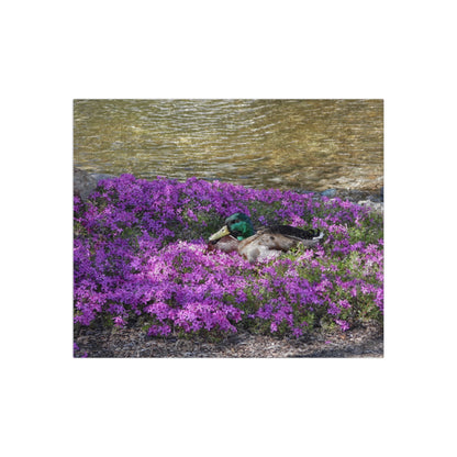 Duck Resting In Flowers Crushed Velvet Blanket