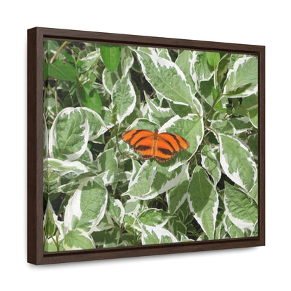 Leaves & Butterfly Gallery Canvas Wraps Framed