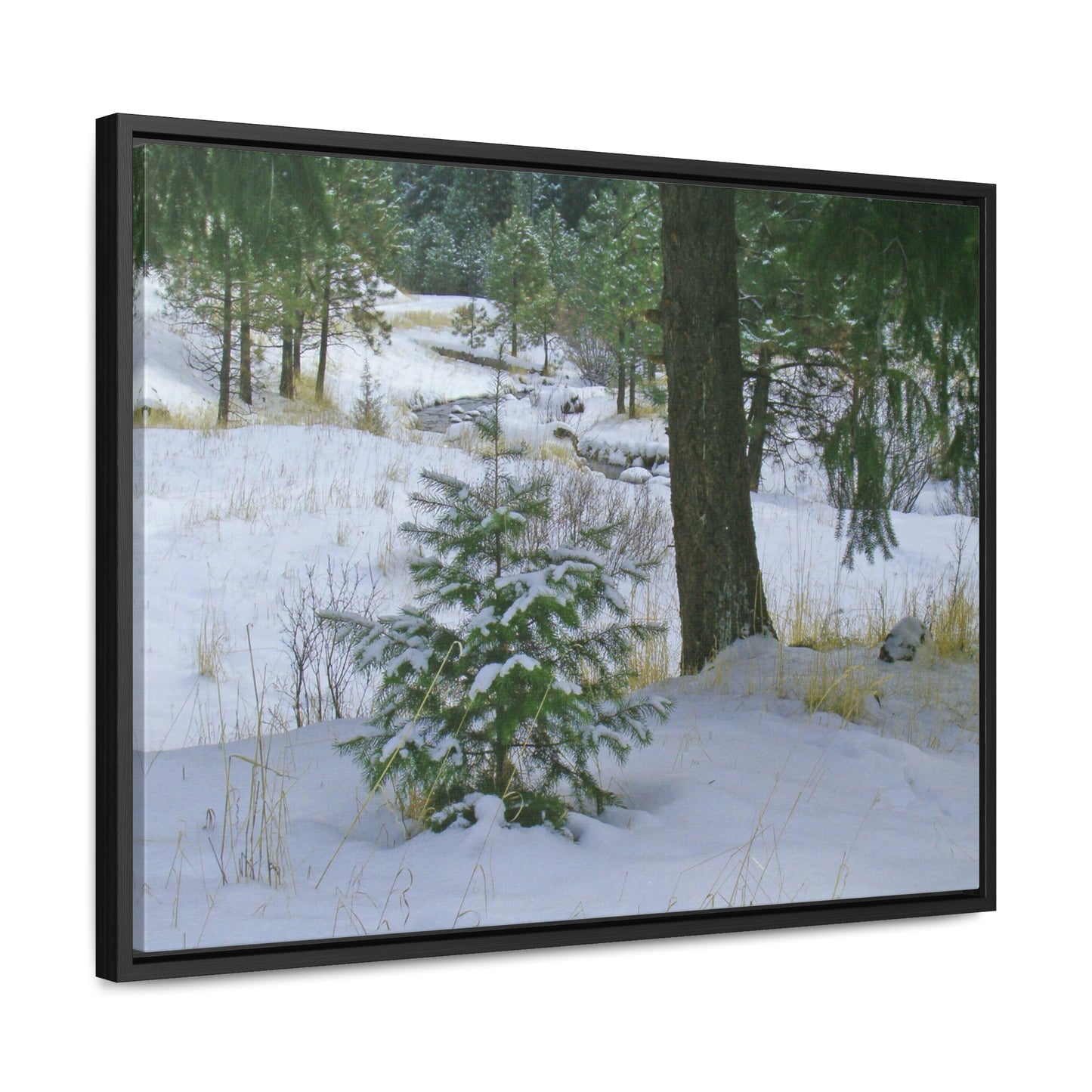 Christmas Tree Creek Gallery Canvas Wraps Framed
