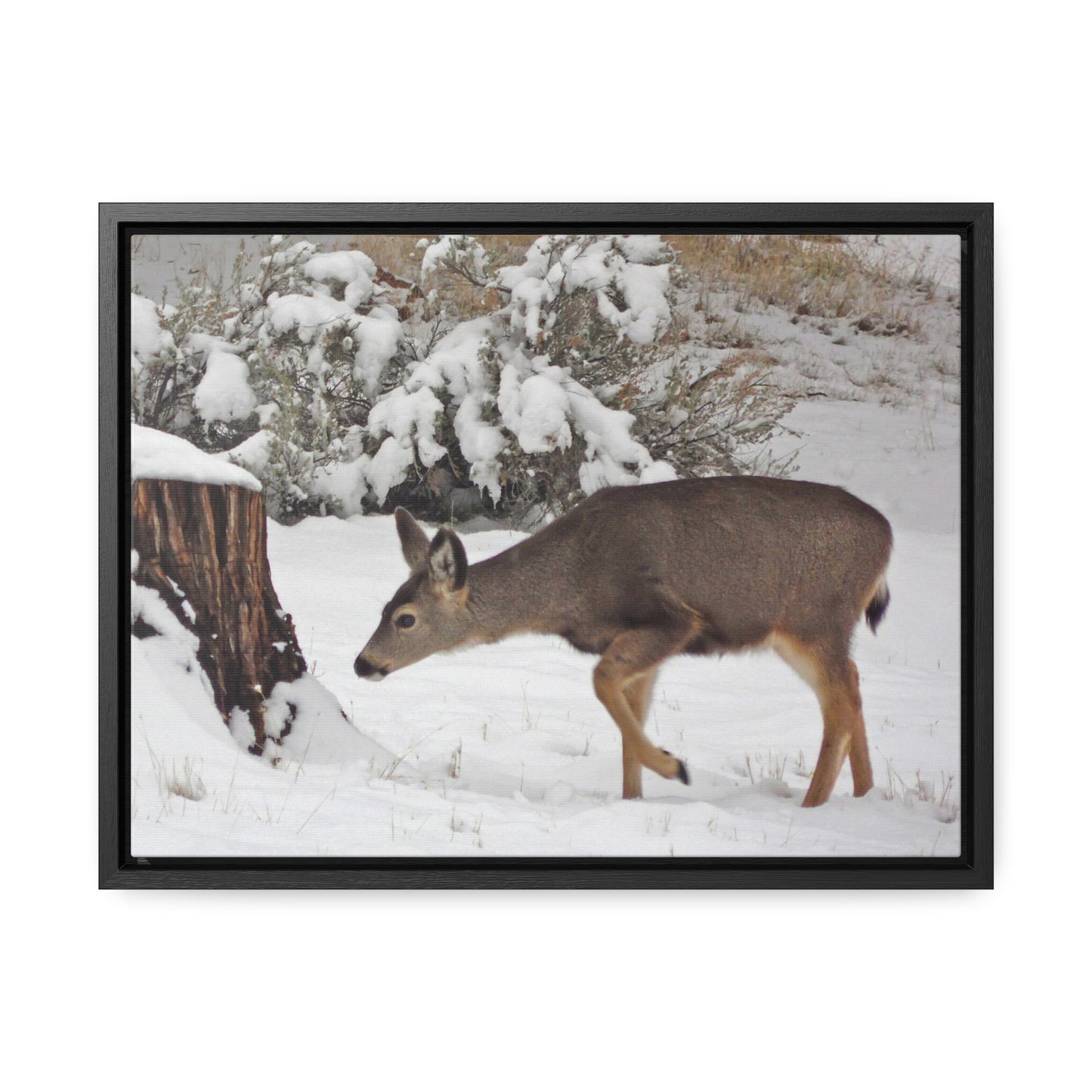 Winter Deer Gallery Canvas Wraps Framed