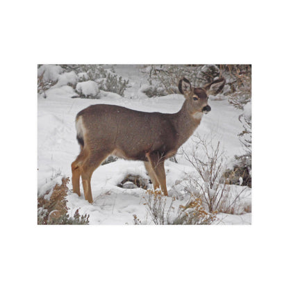Snowy Deer Satin Posters