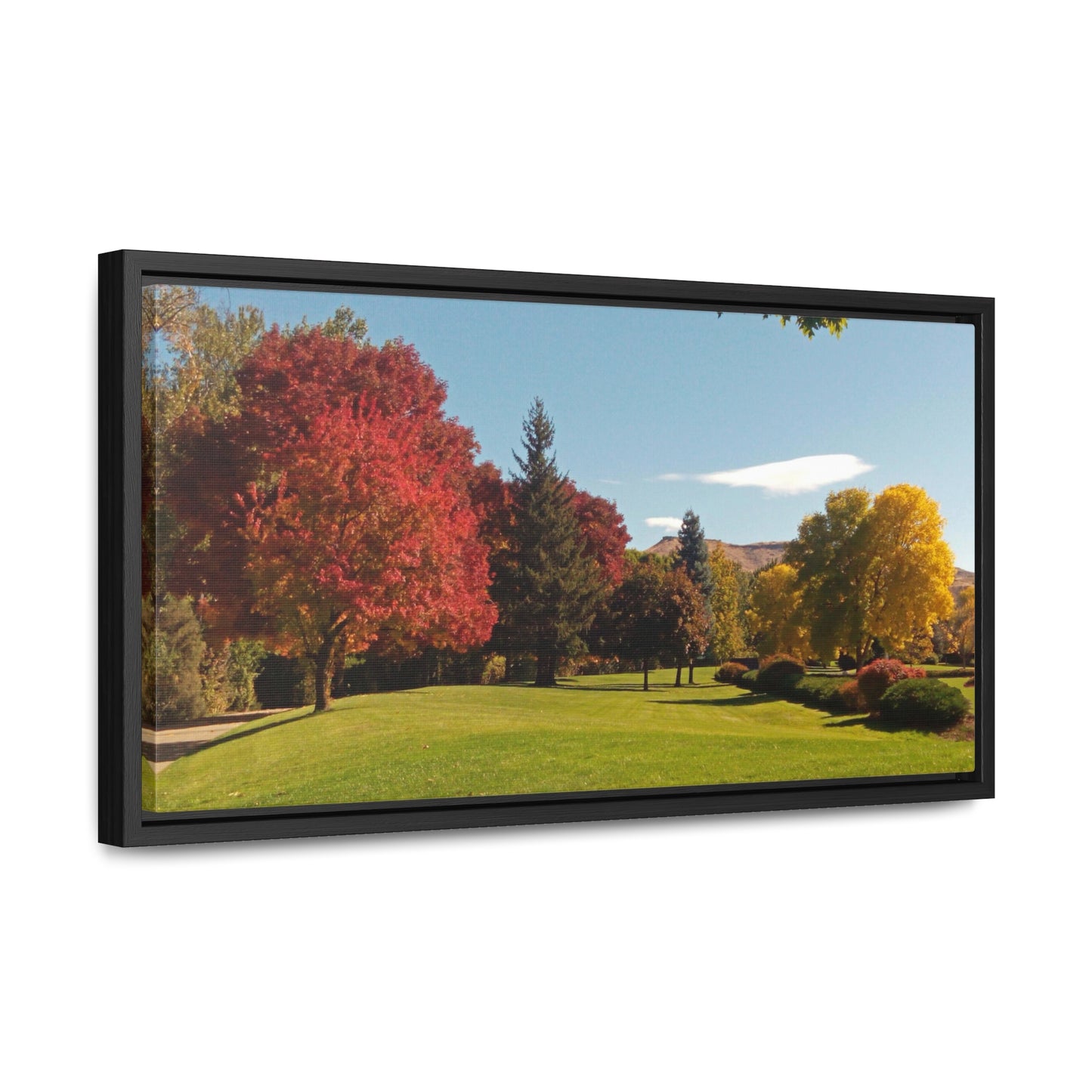 Autumn Lawn Gallery Canvas Wraps Framed