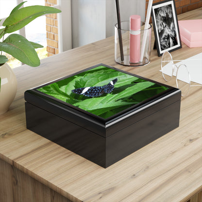 Sapphire Butterfly Jewelry Box ~ 7.24"