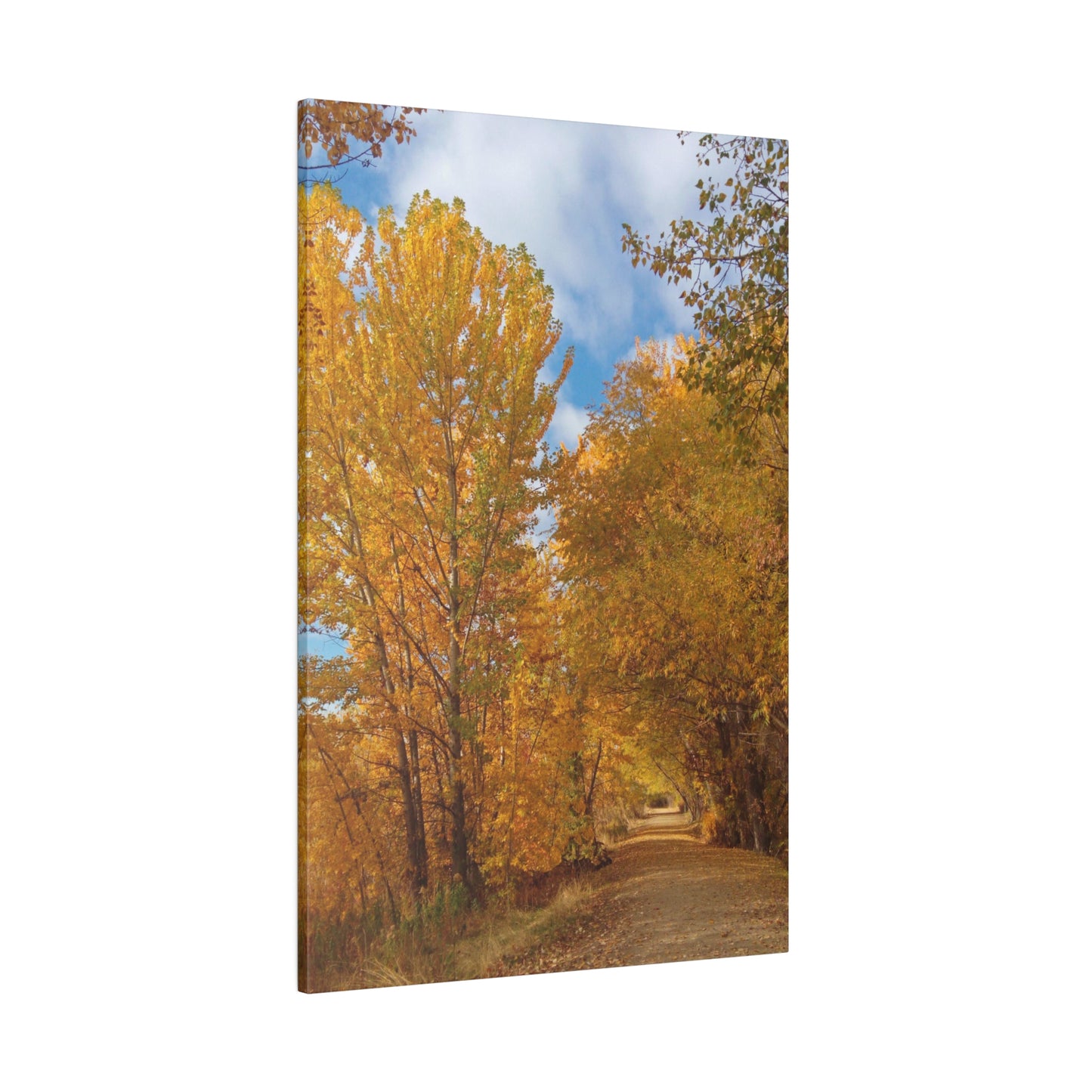 Autumn Trail Matte Canvas