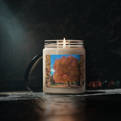 Autumn Tree Late Fall Scented Soy Candle, 9oz